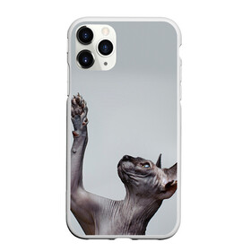 Чехол для iPhone 11 Pro Max матовый с принтом Сфинкс 3 , Силикон |  | кот | котенок | котик | котэ | кошка | сфинкс