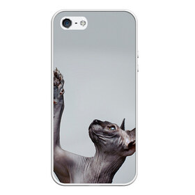 Чехол для iPhone 5/5S матовый с принтом Сфинкс 3 , Силикон | Область печати: задняя сторона чехла, без боковых панелей | кот | котенок | котик | котэ | кошка | сфинкс