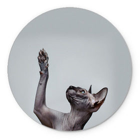 Коврик круглый с принтом Сфинкс 3 , резина и полиэстер | круглая форма, изображение наносится на всю лицевую часть | кот | котенок | котик | котэ | кошка | сфинкс