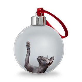 Ёлочный шар с принтом Сфинкс 3 , Пластик | Диаметр: 77 мм | кот | котенок | котик | котэ | кошка | сфинкс