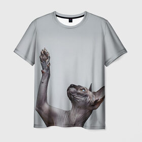 Мужская футболка 3D с принтом Сфинкс 3 , 100% полиэфир | прямой крой, круглый вырез горловины, длина до линии бедер | кот | котенок | котик | котэ | кошка | сфинкс
