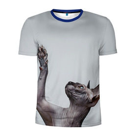 Мужская футболка 3D спортивная с принтом Сфинкс 3 , 100% полиэстер с улучшенными характеристиками | приталенный силуэт, круглая горловина, широкие плечи, сужается к линии бедра | кот | котенок | котик | котэ | кошка | сфинкс