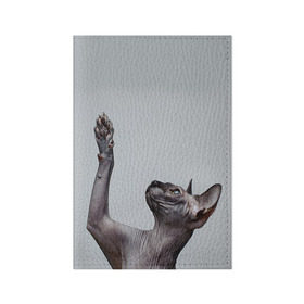 Обложка для паспорта матовая кожа с принтом Сфинкс 3 , натуральная матовая кожа | размер 19,3 х 13,7 см; прозрачные пластиковые крепления | Тематика изображения на принте: кот | котенок | котик | котэ | кошка | сфинкс