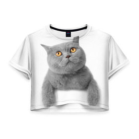 Женская футболка 3D укороченная с принтом Британец 2 , 100% полиэстер | круглая горловина, длина футболки до линии талии, рукава с отворотами | британец | британская | британцы | кот | котенок | котик | котэ | кошка