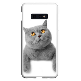 Чехол для Samsung S10E с принтом Британец 2 , Силикон | Область печати: задняя сторона чехла, без боковых панелей | британец | британская | британцы | кот | котенок | котик | котэ | кошка