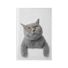 Обложка для паспорта матовая кожа с принтом Британец 2 , натуральная матовая кожа | размер 19,3 х 13,7 см; прозрачные пластиковые крепления | британец | британская | британцы | кот | котенок | котик | котэ | кошка