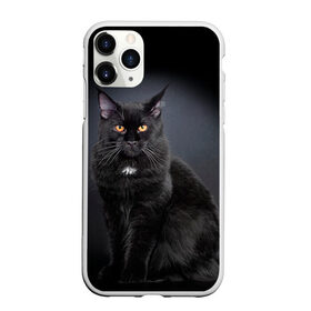 Чехол для iPhone 11 Pro Max матовый с принтом Мейн-кун 3 , Силикон |  | Тематика изображения на принте: кот | котенок | котик | котэ | кошка | мейн кун | мейнкун | мэйн кун | мэйнкун