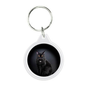 Брелок круглый с принтом Мейн-кун 3 , пластик и полированная сталь | круглая форма, металлическое крепление в виде кольца | кот | котенок | котик | котэ | кошка | мейн кун | мейнкун | мэйн кун | мэйнкун