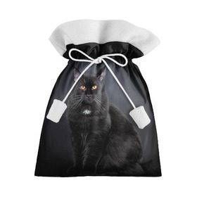 Подарочный 3D мешок с принтом Мейн-кун 3 , 100% полиэстер | Размер: 29*39 см | кот | котенок | котик | котэ | кошка | мейн кун | мейнкун | мэйн кун | мэйнкун