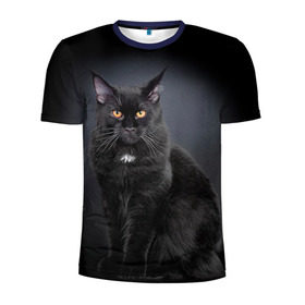 Мужская футболка 3D спортивная с принтом Мейн-кун 3 , 100% полиэстер с улучшенными характеристиками | приталенный силуэт, круглая горловина, широкие плечи, сужается к линии бедра | кот | котенок | котик | котэ | кошка | мейн кун | мейнкун | мэйн кун | мэйнкун