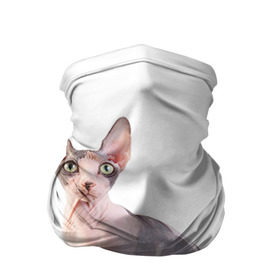 Бандана-труба 3D с принтом Сфинкс 5 , 100% полиэстер, ткань с особыми свойствами — Activecool | плотность 150‒180 г/м2; хорошо тянется, но сохраняет форму | кот | котенок | котик | котэ | кошка | сфинкс