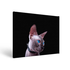 Холст прямоугольный с принтом Сфинкс 6 , 100% ПВХ |  | кот | котенок | котик | котэ | кошка | сфинкс