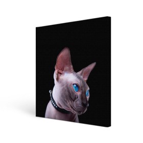 Холст квадратный с принтом Сфинкс 6 , 100% ПВХ |  | Тематика изображения на принте: кот | котенок | котик | котэ | кошка | сфинкс