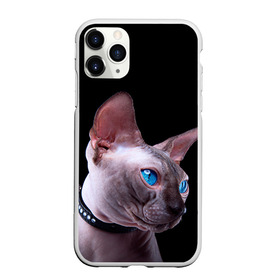 Чехол для iPhone 11 Pro Max матовый с принтом Сфинкс 6 , Силикон |  | кот | котенок | котик | котэ | кошка | сфинкс