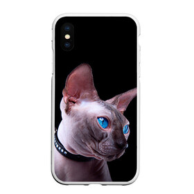 Чехол для iPhone XS Max матовый с принтом Сфинкс 6 , Силикон | Область печати: задняя сторона чехла, без боковых панелей | кот | котенок | котик | котэ | кошка | сфинкс