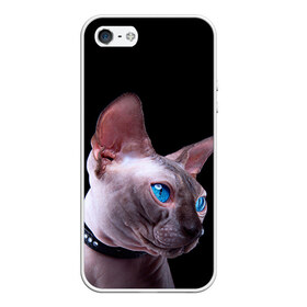 Чехол для iPhone 5/5S матовый с принтом Сфинкс 6 , Силикон | Область печати: задняя сторона чехла, без боковых панелей | кот | котенок | котик | котэ | кошка | сфинкс