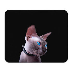 Коврик прямоугольный с принтом Сфинкс 6 , натуральный каучук | размер 230 х 185 мм; запечатка лицевой стороны | кот | котенок | котик | котэ | кошка | сфинкс