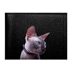 Обложка для студенческого билета с принтом Сфинкс 6 , натуральная кожа | Размер: 11*8 см; Печать на всей внешней стороне | Тематика изображения на принте: кот | котенок | котик | котэ | кошка | сфинкс