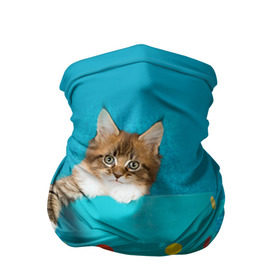Бандана-труба 3D с принтом Мейн-кун 4 , 100% полиэстер, ткань с особыми свойствами — Activecool | плотность 150‒180 г/м2; хорошо тянется, но сохраняет форму | кот | котенок | котик | котэ | кошка | мейн кун | мейнкун | мэйн кун | мэйнкун