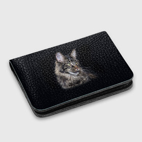 Картхолдер с принтом с принтом Мейн-кун 5 , натуральная матовая кожа | размер 7,3 х 10 см; кардхолдер имеет 4 кармана для карт; | кот | котенок | котик | котэ | кошка | мейн кун | мейнкун | мэйн кун | мэйнкун