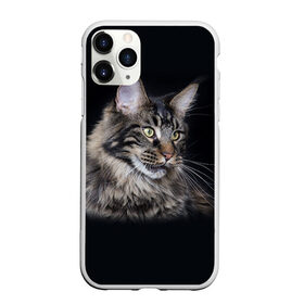 Чехол для iPhone 11 Pro Max матовый с принтом Мейн-кун 5 , Силикон |  | кот | котенок | котик | котэ | кошка | мейн кун | мейнкун | мэйн кун | мэйнкун