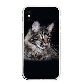 Чехол для iPhone XS Max матовый с принтом Мейн-кун 5 , Силикон | Область печати: задняя сторона чехла, без боковых панелей | Тематика изображения на принте: кот | котенок | котик | котэ | кошка | мейн кун | мейнкун | мэйн кун | мэйнкун