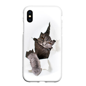 Чехол для iPhone XS Max матовый с принтом Британец 4 , Силикон | Область печати: задняя сторона чехла, без боковых панелей | британец | британская | британцы | кот | котенок | котик | котэ | кошка