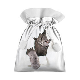 Подарочный 3D мешок с принтом Британец 4 , 100% полиэстер | Размер: 29*39 см | британец | британская | британцы | кот | котенок | котик | котэ | кошка