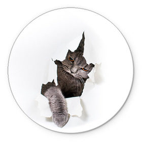 Коврик круглый с принтом Британец 4 , резина и полиэстер | круглая форма, изображение наносится на всю лицевую часть | британец | британская | британцы | кот | котенок | котик | котэ | кошка