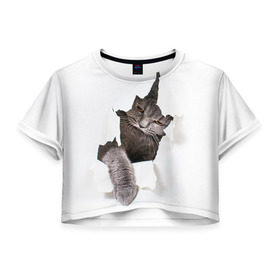 Женская футболка 3D укороченная с принтом Британец 4 , 100% полиэстер | круглая горловина, длина футболки до линии талии, рукава с отворотами | британец | британская | британцы | кот | котенок | котик | котэ | кошка