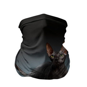 Бандана-труба 3D с принтом Сфинкс 7 , 100% полиэстер, ткань с особыми свойствами — Activecool | плотность 150‒180 г/м2; хорошо тянется, но сохраняет форму | кот | котенок | котик | котэ | кошка | сфинкс