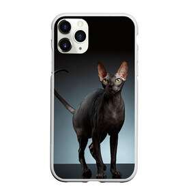 Чехол для iPhone 11 Pro матовый с принтом Сфинкс 7 , Силикон |  | Тематика изображения на принте: кот | котенок | котик | котэ | кошка | сфинкс