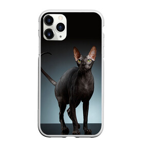 Чехол для iPhone 11 Pro Max матовый с принтом Сфинкс 7 , Силикон |  | Тематика изображения на принте: кот | котенок | котик | котэ | кошка | сфинкс