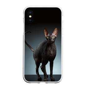 Чехол для iPhone XS Max матовый с принтом Сфинкс 7 , Силикон | Область печати: задняя сторона чехла, без боковых панелей | кот | котенок | котик | котэ | кошка | сфинкс