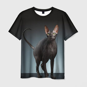 Мужская футболка 3D с принтом Сфинкс 7 , 100% полиэфир | прямой крой, круглый вырез горловины, длина до линии бедер | Тематика изображения на принте: кот | котенок | котик | котэ | кошка | сфинкс