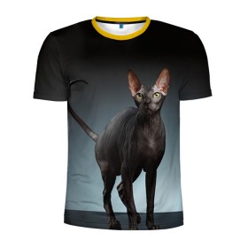Мужская футболка 3D спортивная с принтом Сфинкс 7 , 100% полиэстер с улучшенными характеристиками | приталенный силуэт, круглая горловина, широкие плечи, сужается к линии бедра | Тематика изображения на принте: кот | котенок | котик | котэ | кошка | сфинкс