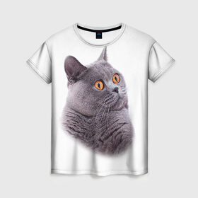 Женская футболка 3D с принтом Британец 5 , 100% полиэфир ( синтетическое хлопкоподобное полотно) | прямой крой, круглый вырез горловины, длина до линии бедер | Тематика изображения на принте: британец | британская | британцы | кот | котенок | котик | котэ | кошка