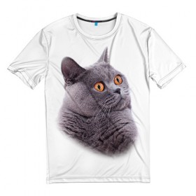 Мужская футболка 3D с принтом Британец 5 , 100% полиэфир | прямой крой, круглый вырез горловины, длина до линии бедер | британец | британская | британцы | кот | котенок | котик | котэ | кошка
