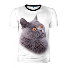 Мужская футболка 3D спортивная с принтом Британец 5 , 100% полиэстер с улучшенными характеристиками | приталенный силуэт, круглая горловина, широкие плечи, сужается к линии бедра | британец | британская | британцы | кот | котенок | котик | котэ | кошка