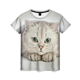 Женская футболка 3D с принтом Британец 6 , 100% полиэфир ( синтетическое хлопкоподобное полотно) | прямой крой, круглый вырез горловины, длина до линии бедер | британец | британская | британцы | кот | котенок | котик | котэ | кошка