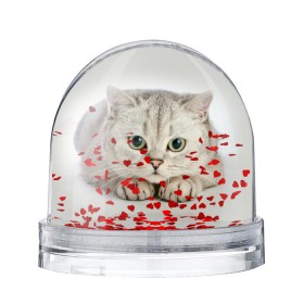 Снежный шар с принтом Британец 6 , Пластик | Изображение внутри шара печатается на глянцевой фотобумаге с двух сторон | британец | британская | британцы | кот | котенок | котик | котэ | кошка
