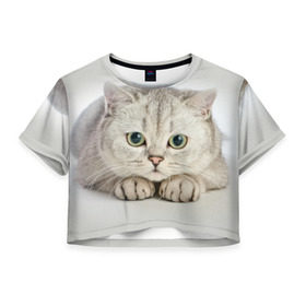 Женская футболка 3D укороченная с принтом Британец 6 , 100% полиэстер | круглая горловина, длина футболки до линии талии, рукава с отворотами | британец | британская | британцы | кот | котенок | котик | котэ | кошка