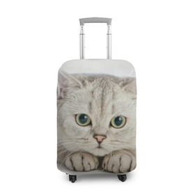 Чехол для чемодана 3D с принтом Британец 6 , 86% полиэфир, 14% спандекс | двустороннее нанесение принта, прорези для ручек и колес | британец | британская | британцы | кот | котенок | котик | котэ | кошка