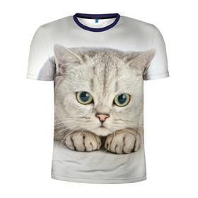 Мужская футболка 3D спортивная с принтом Британец 6 , 100% полиэстер с улучшенными характеристиками | приталенный силуэт, круглая горловина, широкие плечи, сужается к линии бедра | британец | британская | британцы | кот | котенок | котик | котэ | кошка