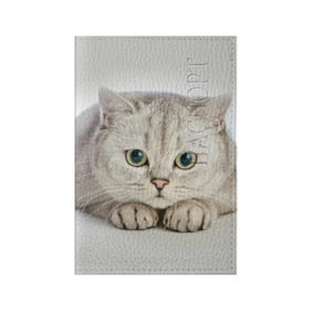 Обложка для паспорта матовая кожа с принтом Британец 6 , натуральная матовая кожа | размер 19,3 х 13,7 см; прозрачные пластиковые крепления | Тематика изображения на принте: британец | британская | британцы | кот | котенок | котик | котэ | кошка