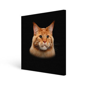 Холст квадратный с принтом Мейн-кун 6 , 100% ПВХ |  | кот | котенок | котик | котэ | кошка | мейн кун | мейнкун | мэйн кун | мэйнкун