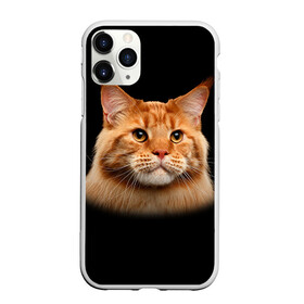 Чехол для iPhone 11 Pro матовый с принтом Мейн-кун 6 , Силикон |  | кот | котенок | котик | котэ | кошка | мейн кун | мейнкун | мэйн кун | мэйнкун