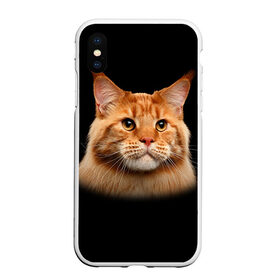 Чехол для iPhone XS Max матовый с принтом Мейн-кун 6 , Силикон | Область печати: задняя сторона чехла, без боковых панелей | Тематика изображения на принте: кот | котенок | котик | котэ | кошка | мейн кун | мейнкун | мэйн кун | мэйнкун