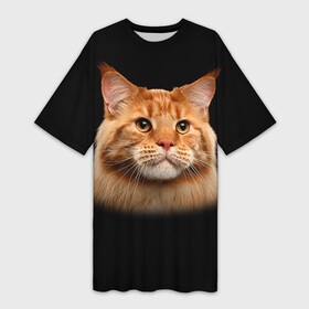 Платье-футболка 3D с принтом Мейн кун 6 ,  |  | кот | котенок | котик | котэ | кошка | мейн кун | мейнкун | мэйн кун | мэйнкун