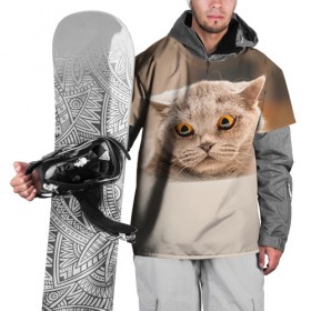 Накидка на куртку 3D с принтом Британец 7 , 100% полиэстер |  | британец | британская | британцы | кот | котенок | котик | котэ | кошка